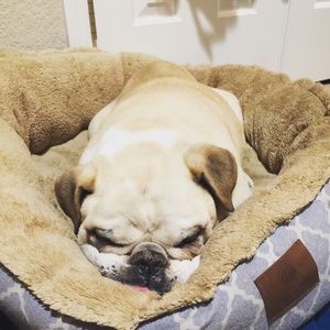 Meet your Posher, Charleen